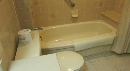 Hotel Best Western Plus Ottawa City Centre