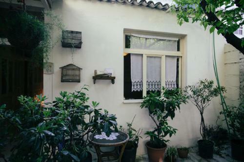 Zig Zag Hostel