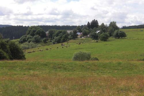 Agroturismo Hofgut Duerrenbuehl
