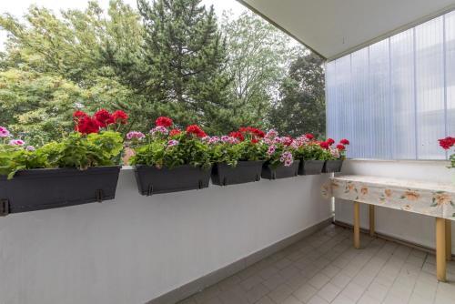 Apartamento Privatapartment West-hannover (5809)