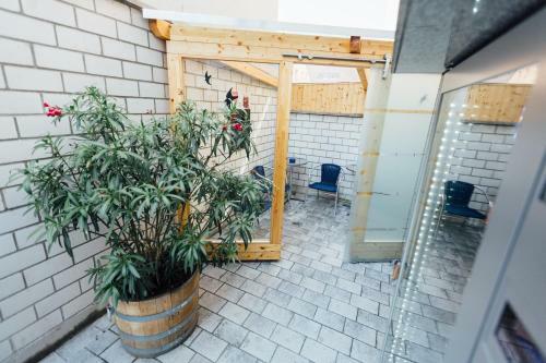 Hostal Pension Am Theater