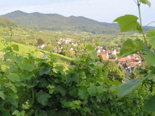 Apartamento Ferienhaus Steinger Am Blumeng�ssle