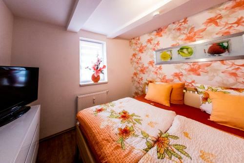 Apartamento Harz-traum