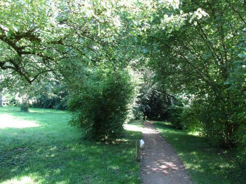 Apartamento Ferienwohnung Hutzwiese