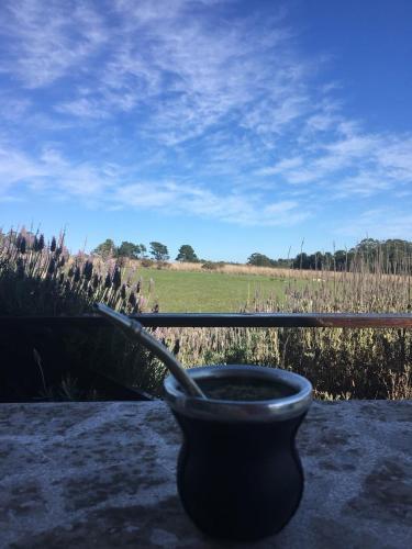 La Peregrina De Tandil