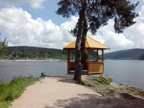 Apartamento Haus Schwarzwaldm�del