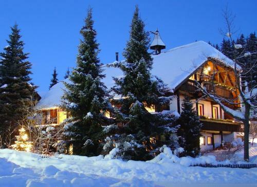 Apartamento Haus Schwarzwaldm�del