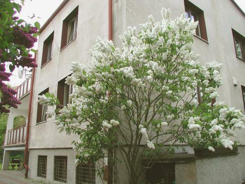 Residencia Villa Sart