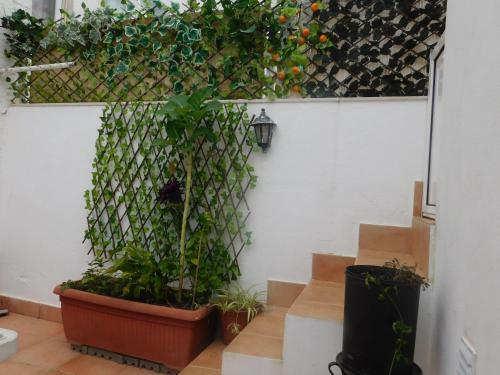 Residencia Dinas Guesthouse