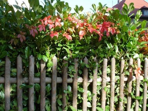 Hostal Pension Refugium �berm Schwansee