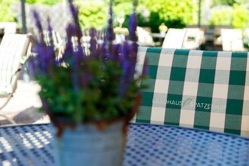 Hotel Landhaus Spatzenhof