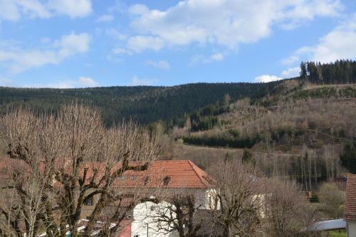 Posada Kronenwirt