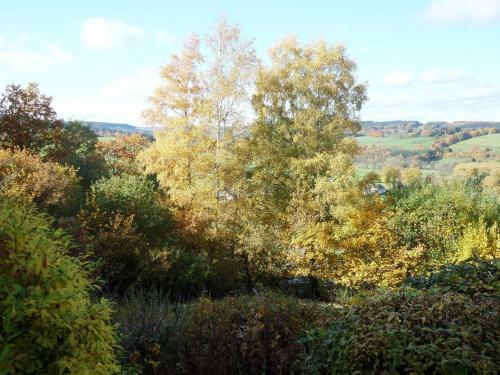 Cozy Holiday Home In Bellevaux With Private Garden