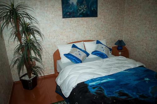 Apartment On Forty