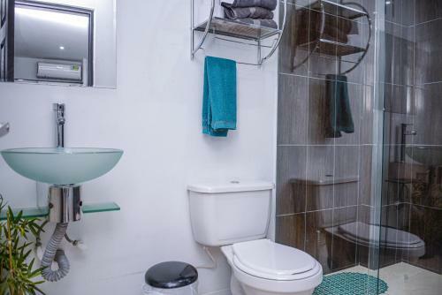 Apartment Carrera 301