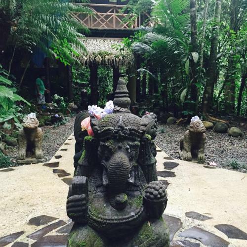 Hotel Waterfall Villas