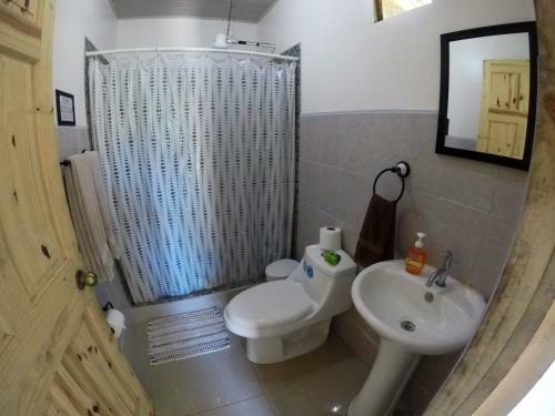 Hotel Pacheco Tours & Cabins
