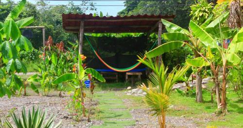 Albergue The Spot