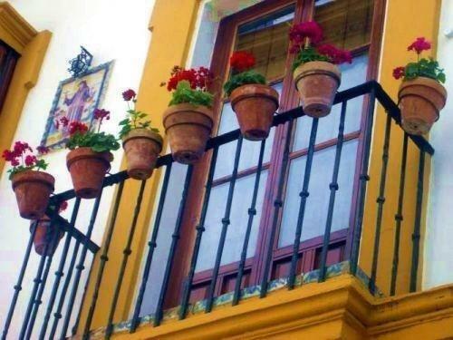 Bed & Breakfast Naranjo