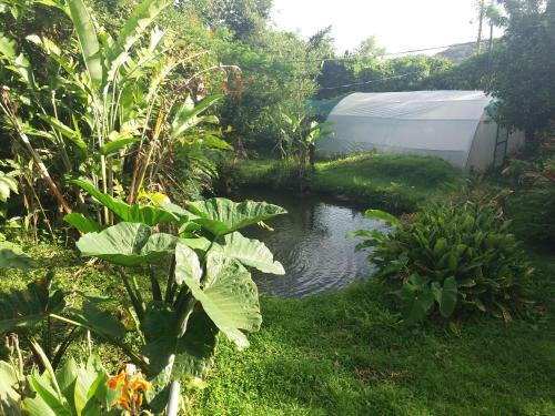 Rancho De Lelo Ecolodge & Sustainable Farm