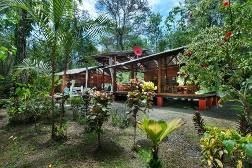Hostal Congo Bongo Ecovillage Costa Rica