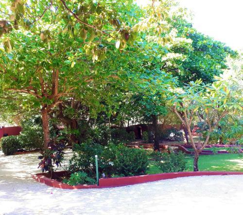 Bed & Breakfast Casa Mapache