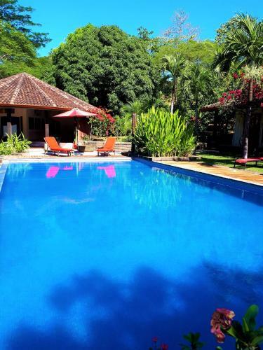 Bed & Breakfast Casa Mapache