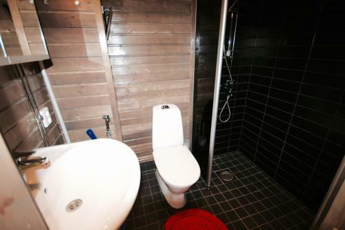 Apartment Levin Stara 2
