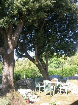 Hotel La Encina