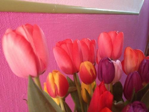 B&B La Vie En Rose