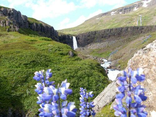 Reydarfjordur Apartment
