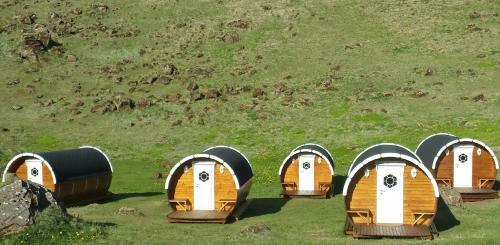 Glamping & Camping