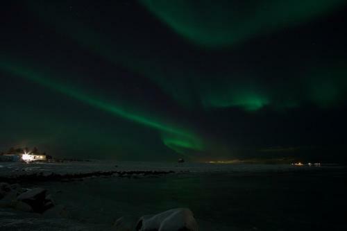 Harpa Holiday Home
