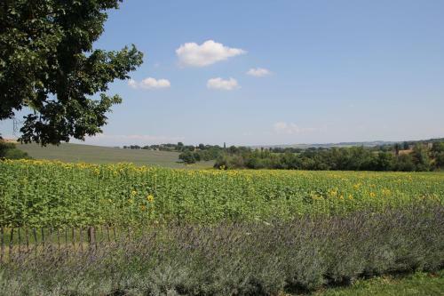 Agroturismo B&B Villa Luogoceleste
