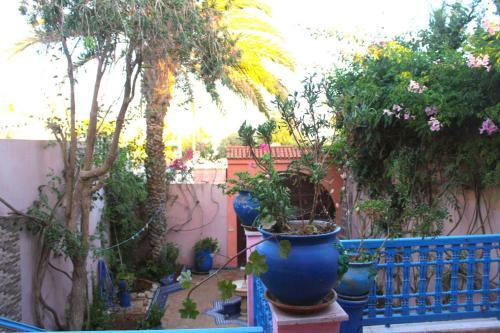 Villa Mona