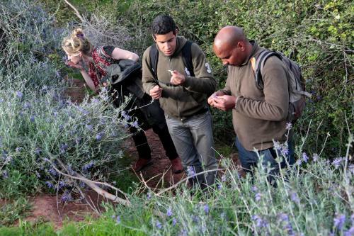 Hotel Terres D'amanar
