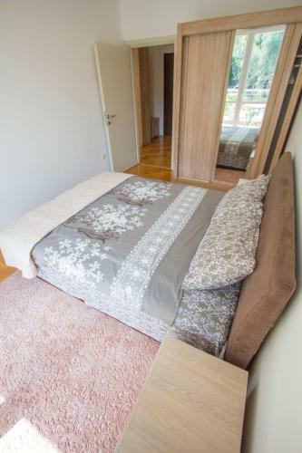 Apartment Andjusic
