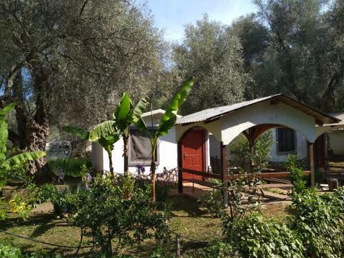 Apartamentos Raj Mira
