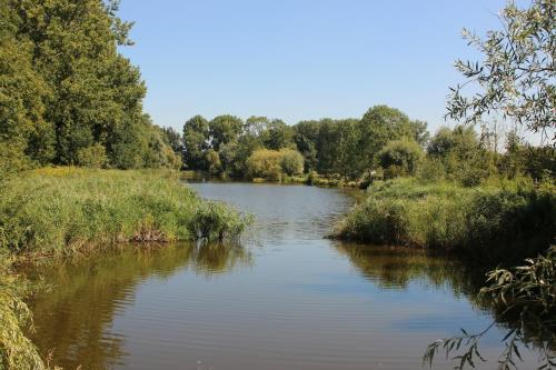 Vakantiepark Delftse Hout