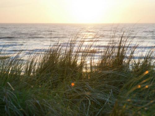 Holiday Home Pluk de Dag Aan Zee