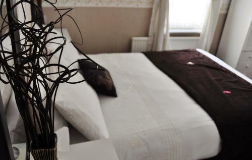 Bed & Breakfast Cheers Hotel