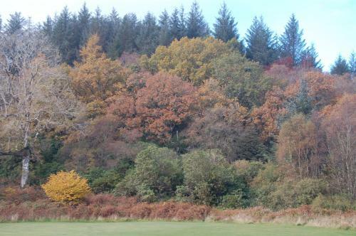 Kirnan Cottages