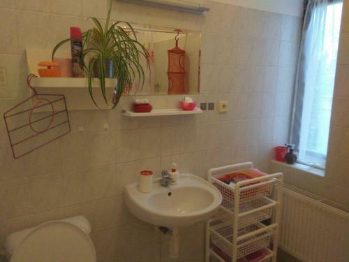 Hostal Villa Lidu?ka