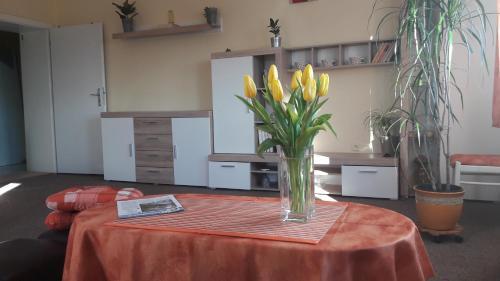 Hostal Villa Lidu?ka