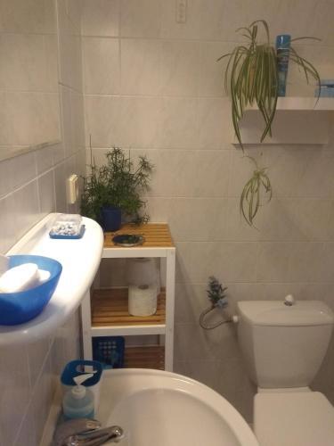 Hostal Villa Lidu?ka