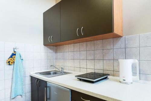 Hostal Penzion Modr� R??e