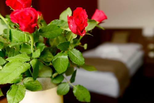 Hotel U Hada ?atec