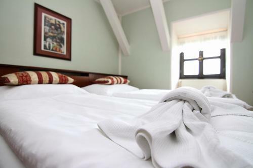 Hotel Z�mek Hav�?ov