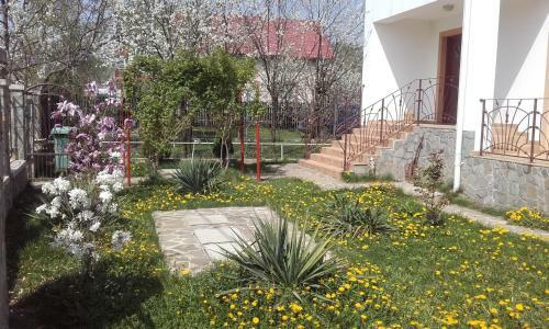 Hostal Lycorn