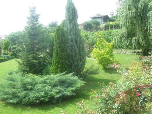 Hostal Pensiunea Raze De Soare